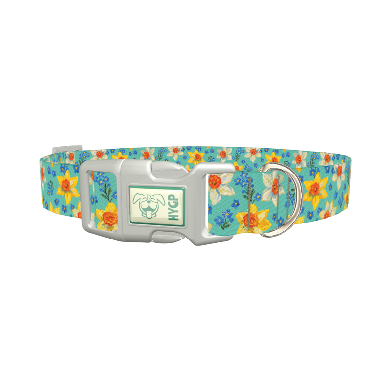 Floral Narcissus Dog Collar - plastic silver