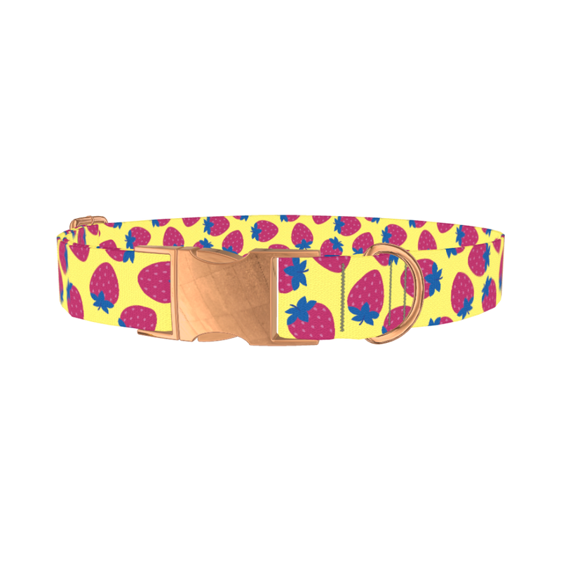 Strawberry Fruit Dog Collar - metal rose gold