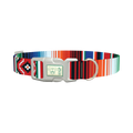 Mexican Stripe Pattern Dog Collar - plastic silver