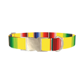 Yellow Mexican Stripe Dog Collar - metal silver