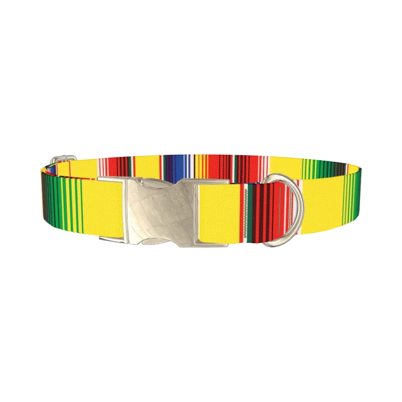 Yellow Mexican Stripe Dog Collar - metal silver