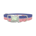 Patriotic Stars Dog Collar - plastic silver