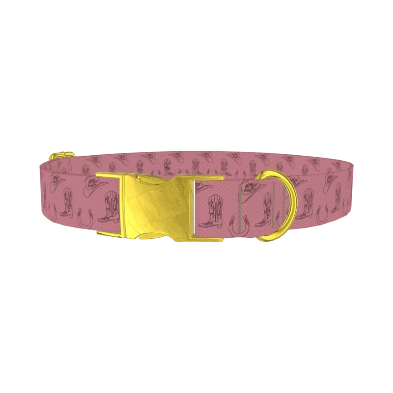 Western Cowboy Dog Collar - metal gold
