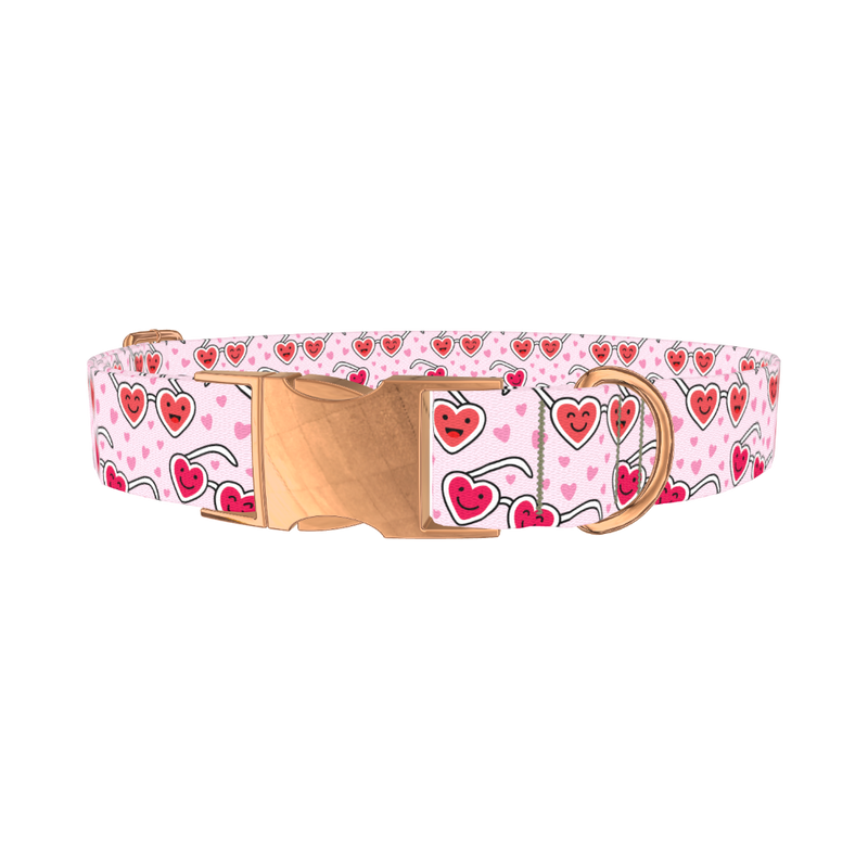 Heart Glasses Dog Collar - metal rose gold