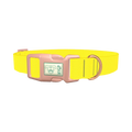 Yellow-Bellied Color Dog Collar - plastic rose gold