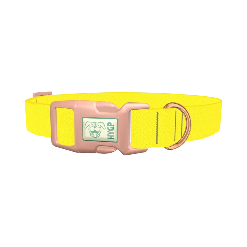 Yellow-Bellied Color Dog Collar - plastic rose gold
