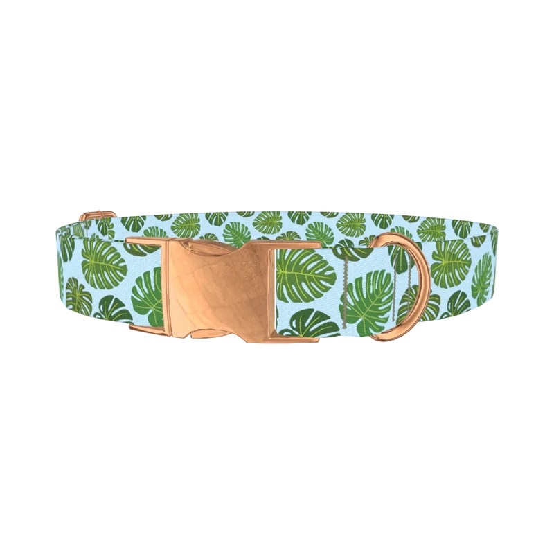 Blue Monstera Leaf Dog Collar - metal rose gold