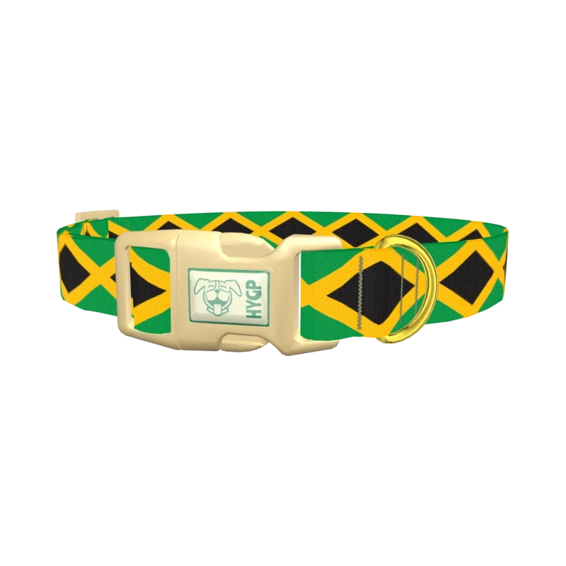 Jamaican Flag Dog Collar - plastic gold