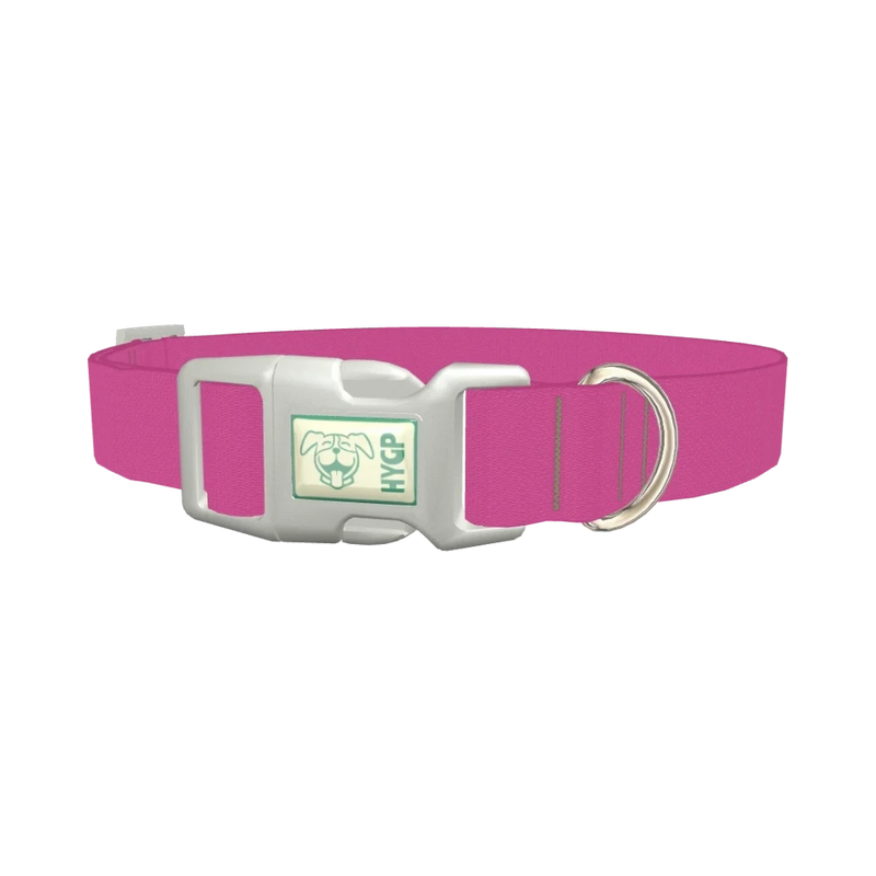 Crushed Berries Color Dog Collar - plastic silver
