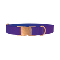 Blue Purple Gradient Dog Collar - metal rose gold