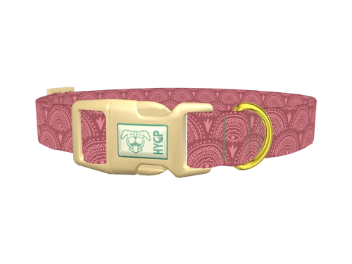 Geometric Eye Dog Collar