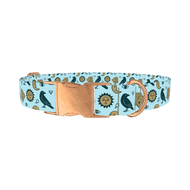 Mystical Crow Dog Collar - metal rose gold