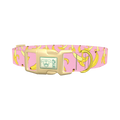 Pink Banana Pattern Dog Collar - plastic gold