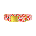 Apple Fruit Dog Collar - metal gold