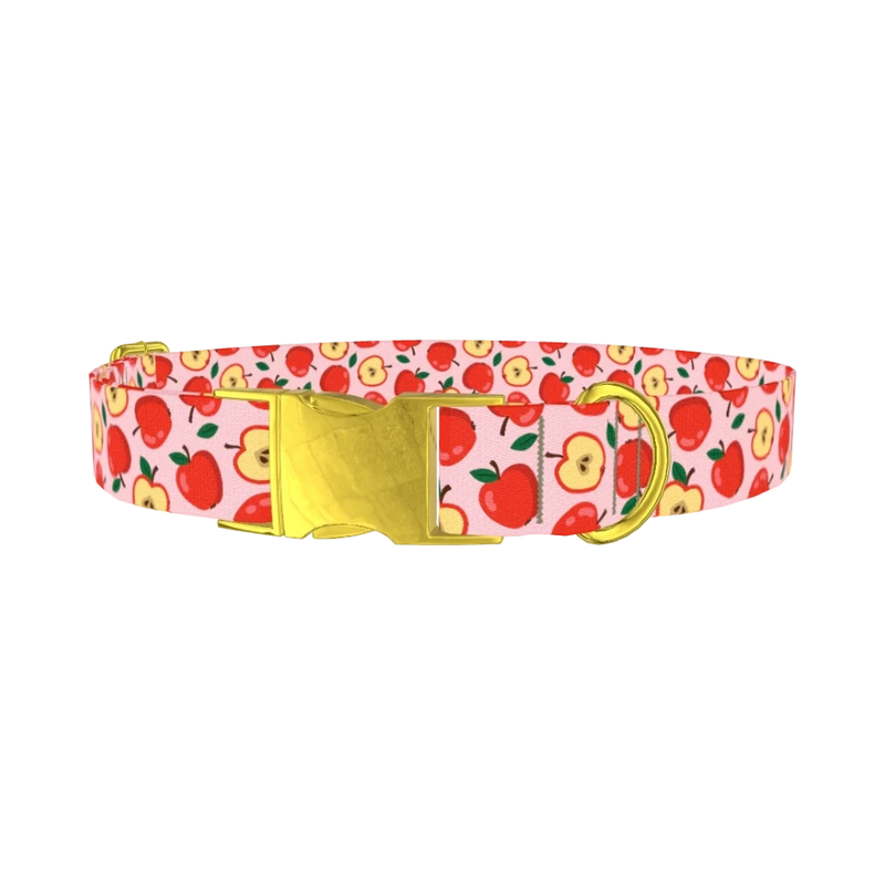 Apple Fruit Dog Collar - metal gold