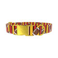 Football Stripe Dog Collar - metal gold