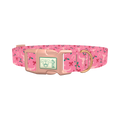 Western Holly Dog Collar - plastic rose gold