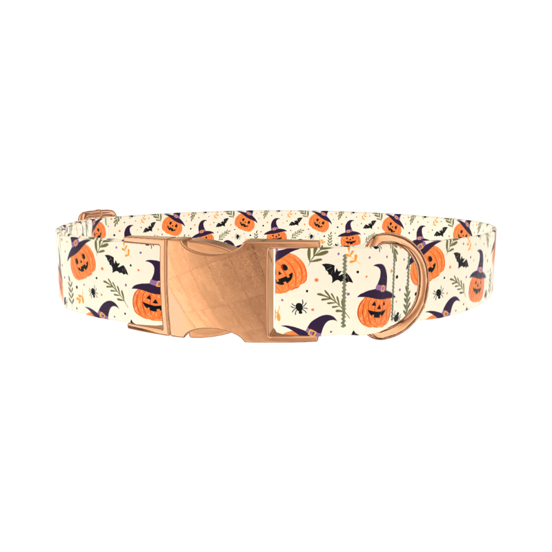 Witchy Pumpkin Halloween Dog Collar - metal silver
