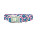 Blue Banana Dog Collar - plastic silver