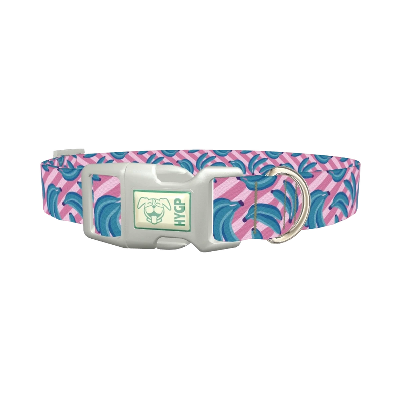 Blue Banana Dog Collar - plastic silver