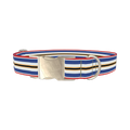 Patriotic Stripe Dog Collar - metal silver