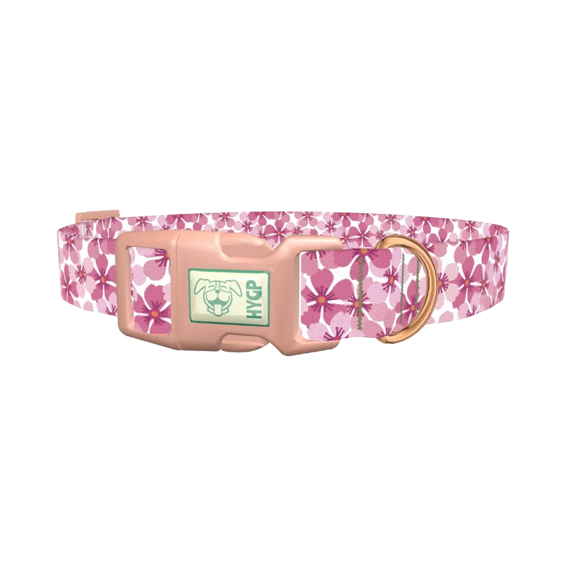 Pink Sakura Blossom Dog Collar - plastic rose gold