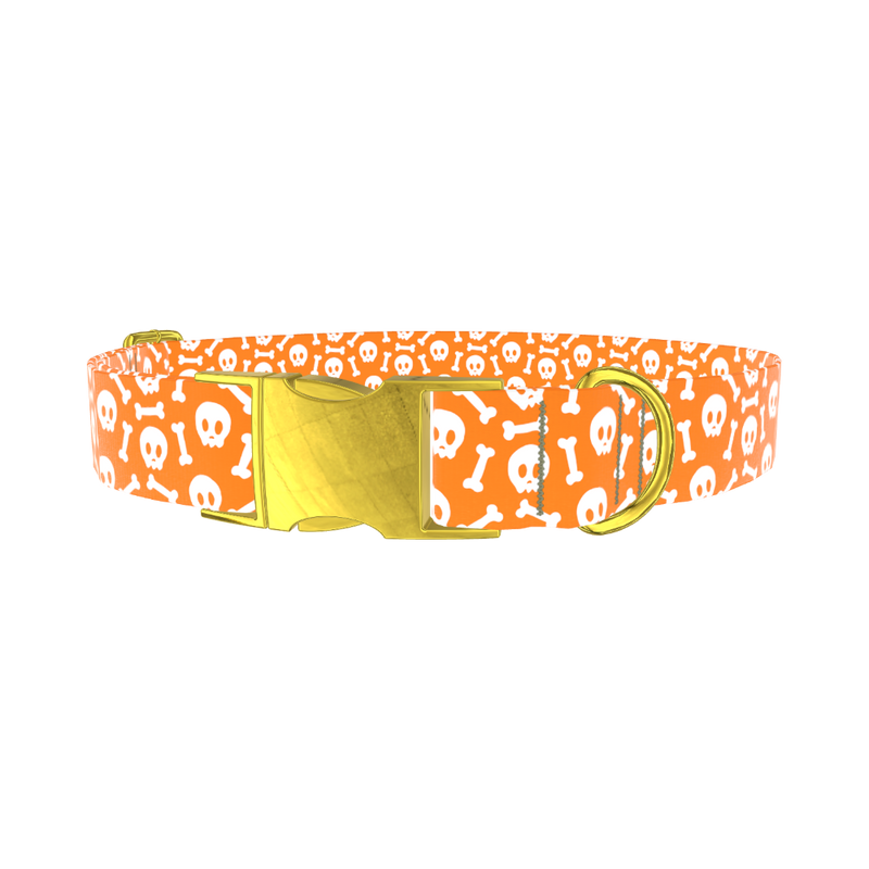 Orange Skull and Bones Dog Collar - metal gold