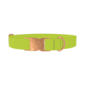 Golden Foliage Color Dog Collar - metal rose gold