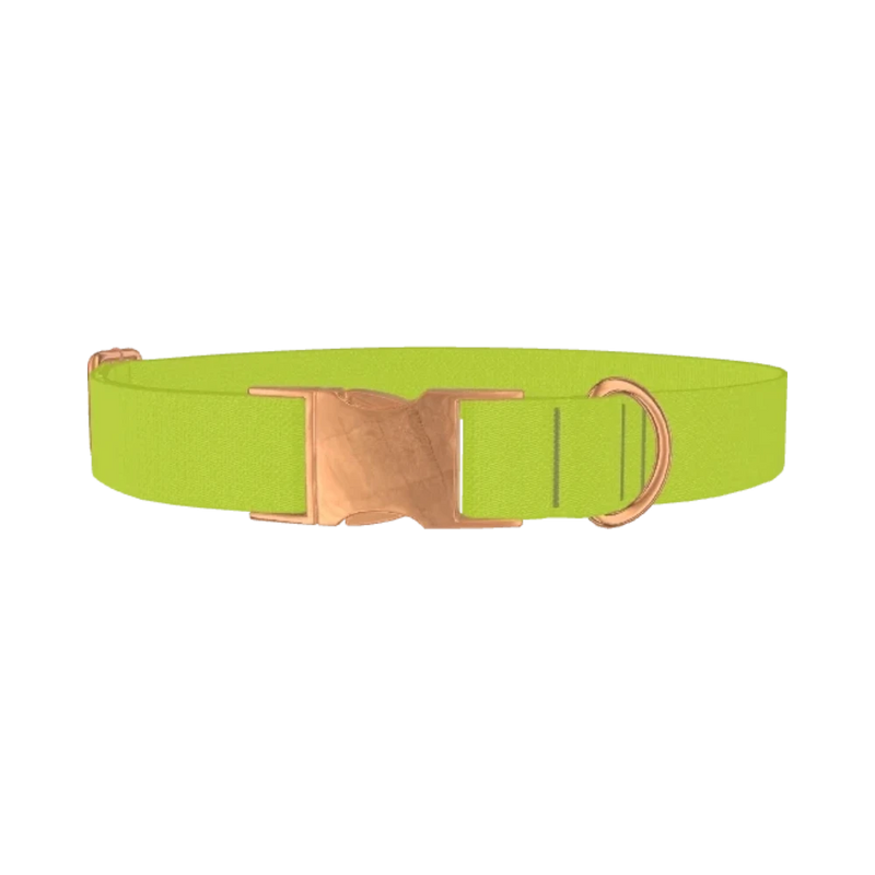 Golden Foliage Color Dog Collar - metal rose gold