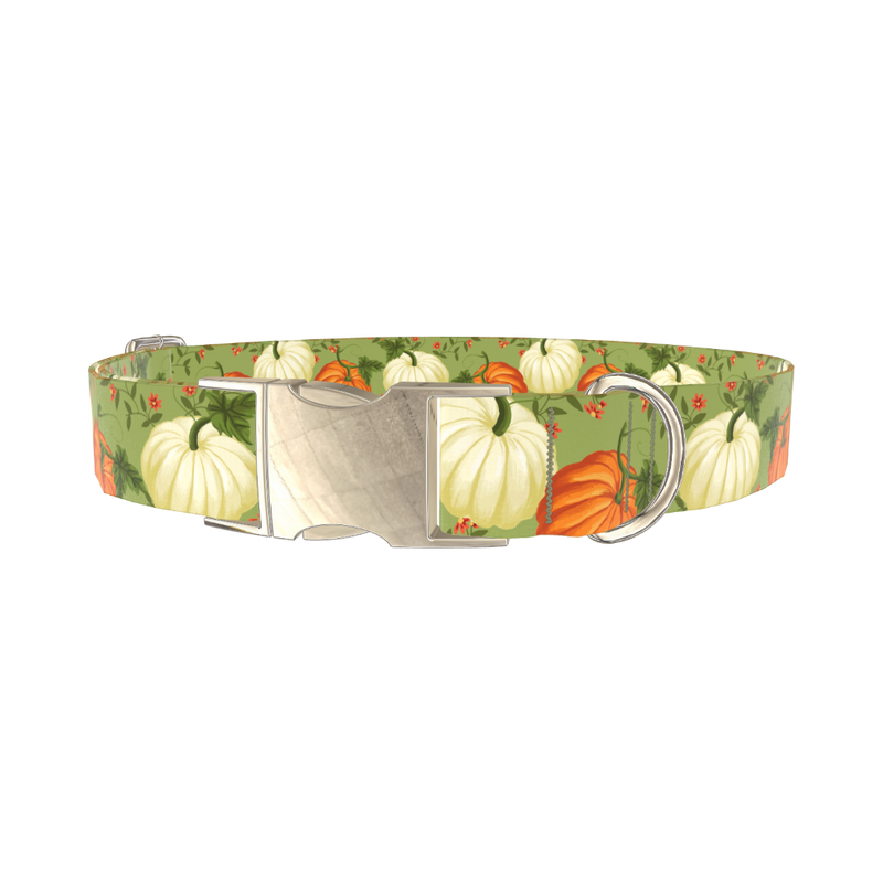Pumpkin Floral Dog Collar - metal silver