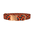 Orange Coffin Halloween Dog Collar - metal rose gold