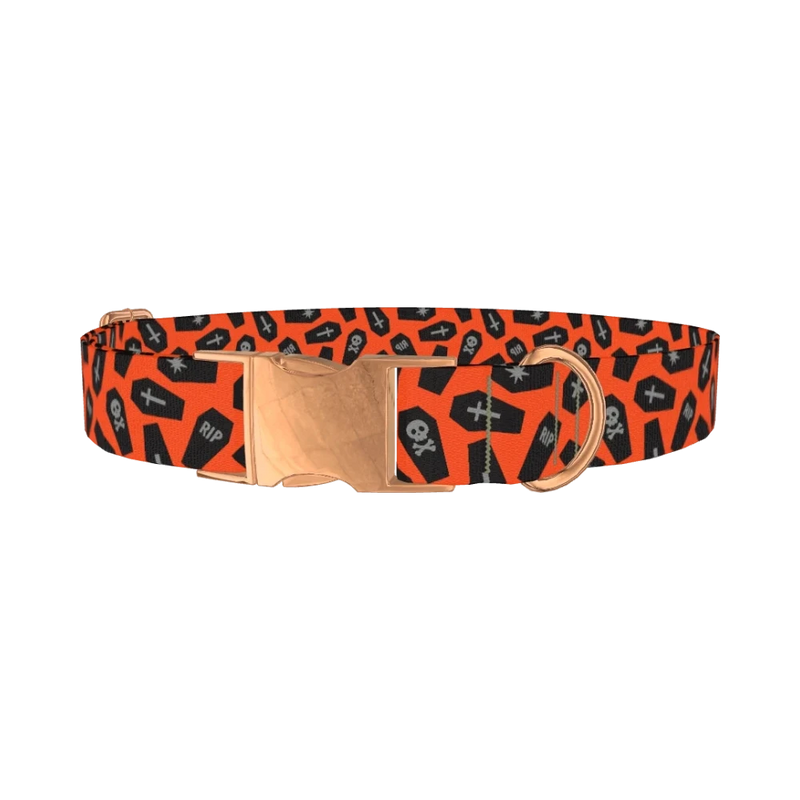 Orange Coffin Halloween Dog Collar - metal rose gold