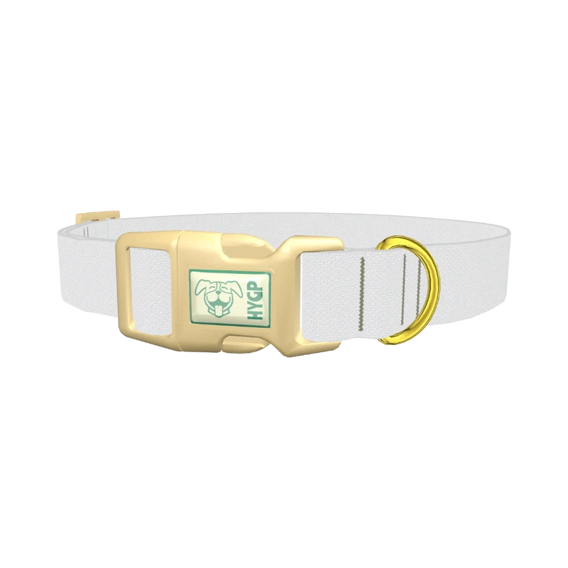 Moon Lily Color Dog Collar - plastic gold