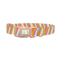 Colorful Diagonal Stripe Dog Collar - plastic rose gold