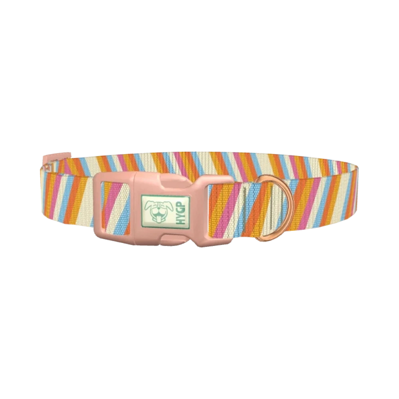 Colorful Diagonal Stripe Dog Collar - plastic rose gold