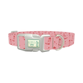 Western Boot Dog Collar - plastic silver