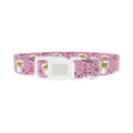 Noodle Takeout Dog Collar - plastic silver