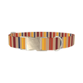 Hexagonal Stripe Dog Collar - metal silver