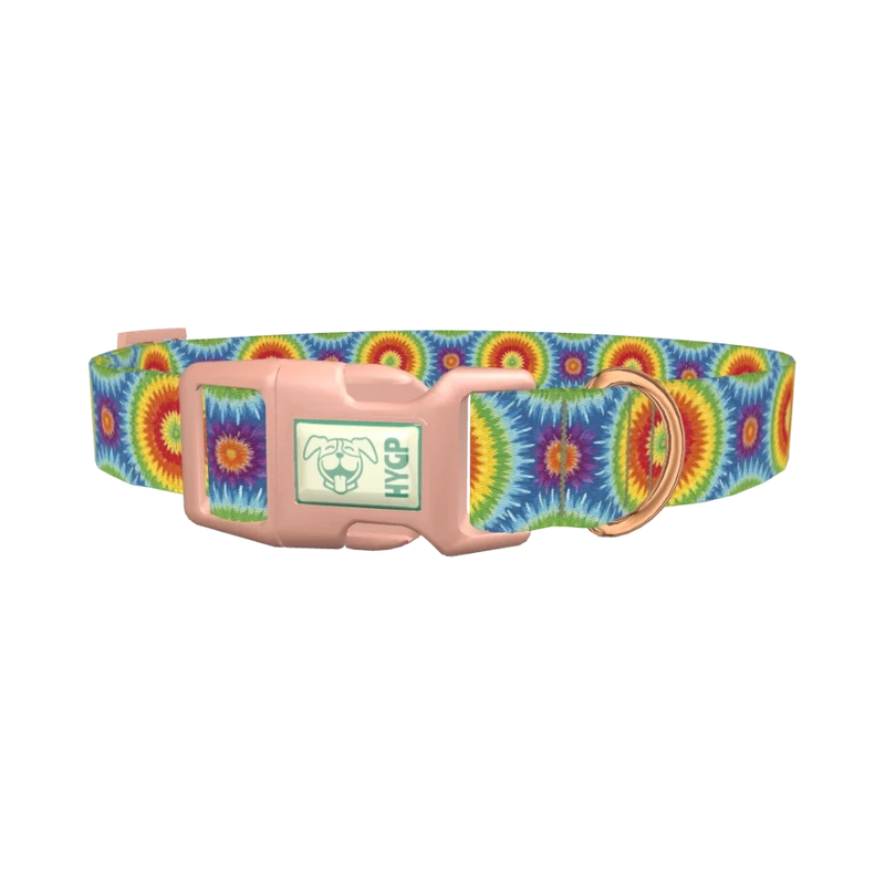 Rainbow Burst Dog Collar - plastic rose gold