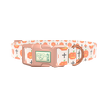 Halloween Cross-Stitch Dog Collar - plastic gold