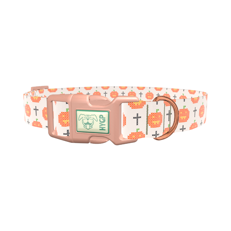 Halloween Cross-Stitch Dog Collar - plastic gold