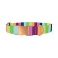 Rainbow Stripe Dog Collar - metal rose gold