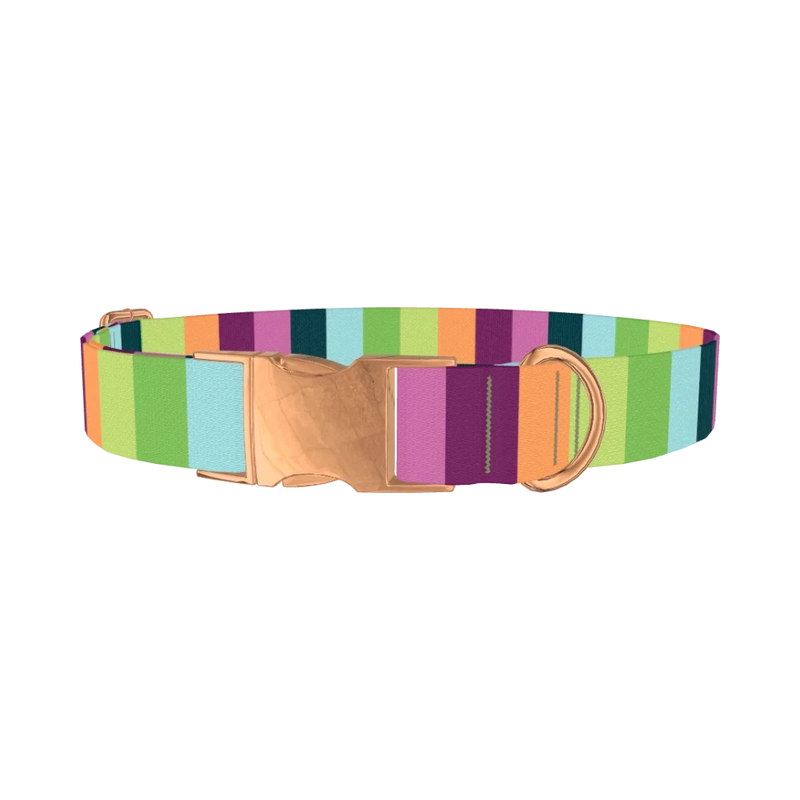 Rainbow Stripe Dog Collar - metal rose gold