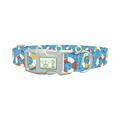 Summer Pool Dog Collar - plastic silver