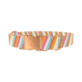 Colorful Diagonal Stripe Dog Collar - metal silver
