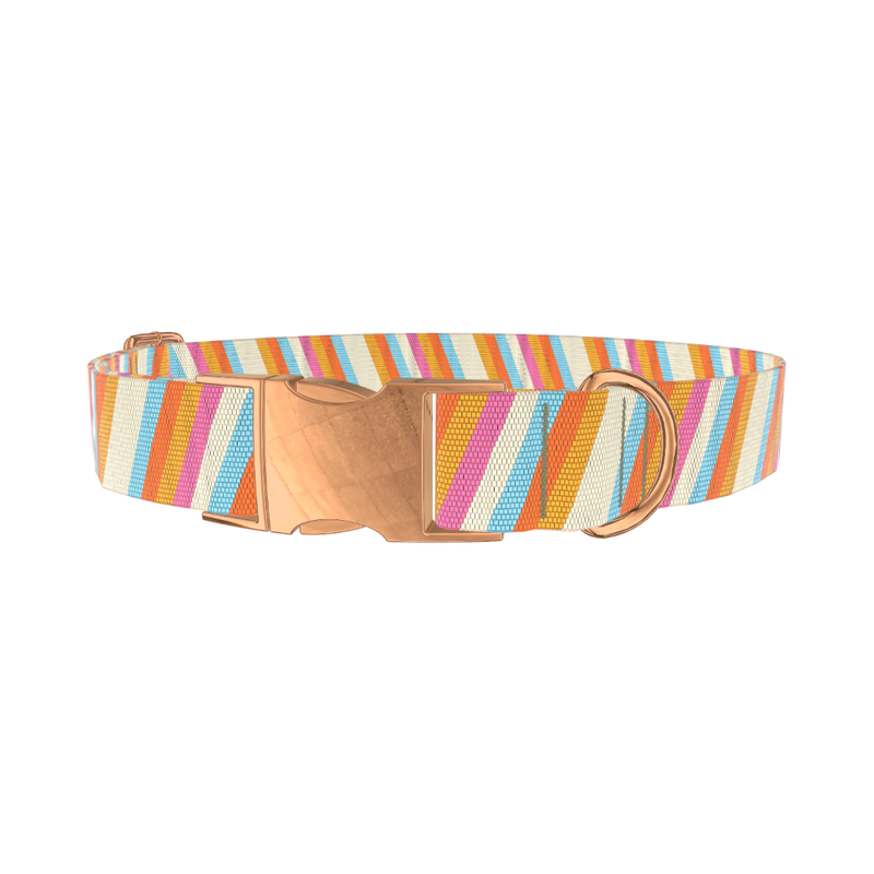 Colorful Diagonal Stripe Dog Collar - metal silver