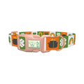 Rainbow Luck Dog Collar - plastic rose gold
