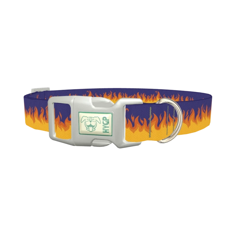 Flame Pattern Dog Collar - plastic silver