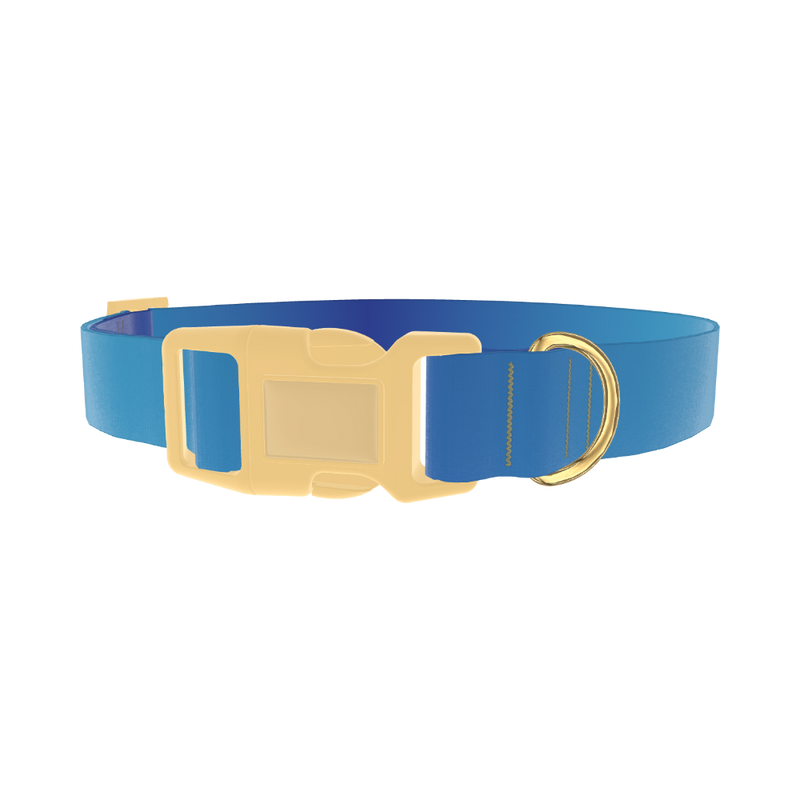 Oceanic Gradient Dog Collar - plastic gold