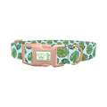 Blue Monstera Leaf Dog Collar - plastic rose gold